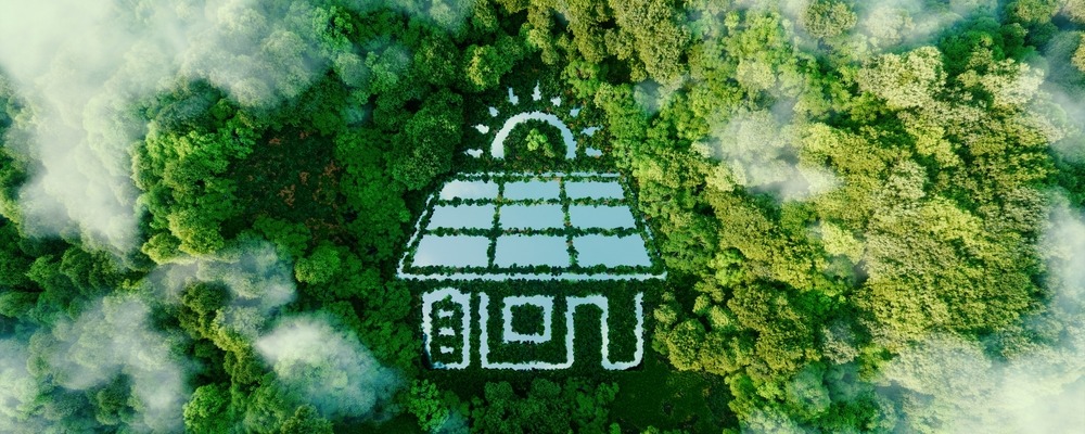 Zed House